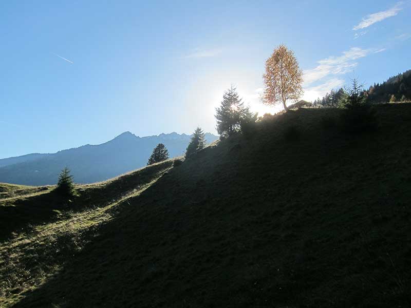 Schwarzwand